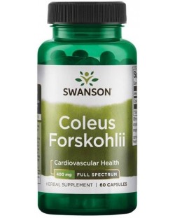 Coleus Forskohlii, 400 mg, 60 капсули, Swanson