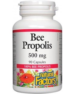 Bee Propolis, 500 mg, 90 капсули, Natural Factors