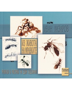 Из живота на мравките. Разкази и рисунки на един художник (Ново издание)
