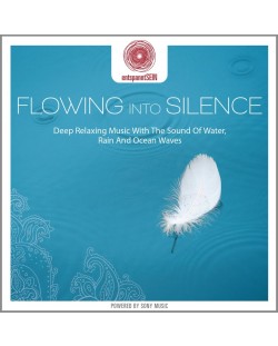 Jens Buchert - entspanntSEIN: Flowing Into Silence (CD)