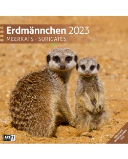 Календар Ackermann - Сурикати, 2023