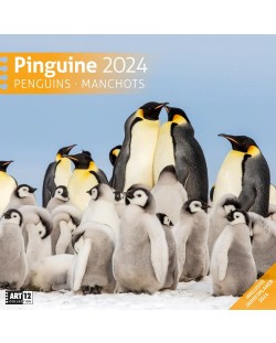 Календар Ackermann - Penguins, 2024