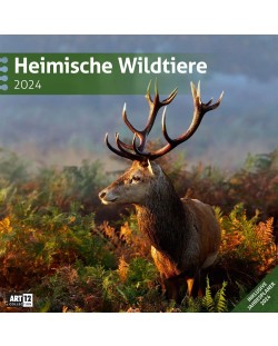 Календар Ackermann - Wild Animals of Germany, 2024