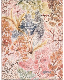 Календар-бележник Paperblanks Anemone - 18 х 23 cm, 88 листа, 2024
