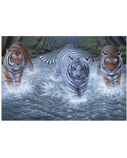 Комплект за рисуване с акрилни бои Royal - Тигри, 39 х 30 cm
