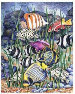 Комплект за рисуване с цветни моливи Royal - Тропически риби, 22 х 30 cm