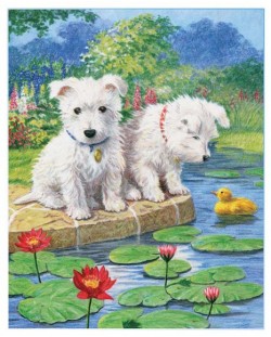 Комплект за рисуване с цветни моливи Royal - Кученца, 22 х 30 cm