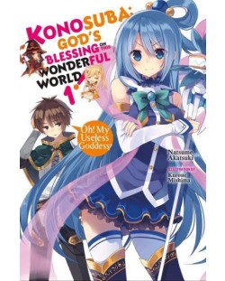 KonoSuba: God's Blessing on This Wonderful World, Vol. 1 (Light Novel)