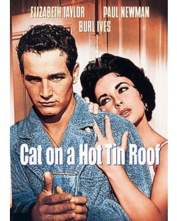 Котка върху горещ ламаринен покрив (DVD)