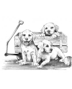 Комплект за рисуване на графика Royal - Кученца в количка, 29 х 39 cm