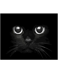 Комплект за рисуване по номера Foska - Котешки очи