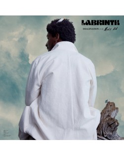 Labrinth - Imagination & the Misfit Kid (Vinyl)