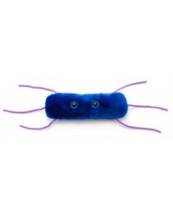Плюшена играчка Листериоза (Listeria monocytogenes)