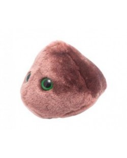 Плюшена играчка Чернодробна клетка (Hepatocyte)