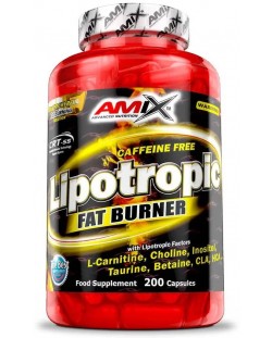 Lipotropic Fat Burner, 200 капсули, Amix
