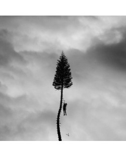Manchester Orchestra - A Black Mile To The Surface (CD)