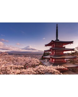 Макси плакат Pyramid - Mount Fuji Blossom