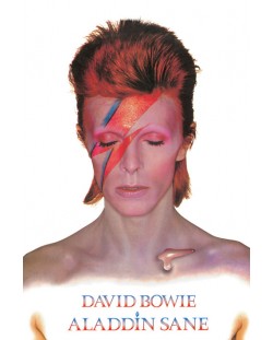 Макси плакат Pyramid - David Bowie (Aladdin Sane)