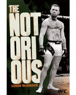 Макси плакат Pyramid - UFC: Conor McGregor (Stance)