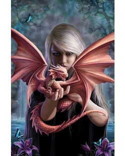 Макси плакат - Anne Stokes (Dragonkin)