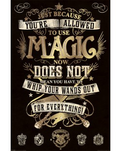 Макси плакат Pyramid - Harry Potter (Magic)