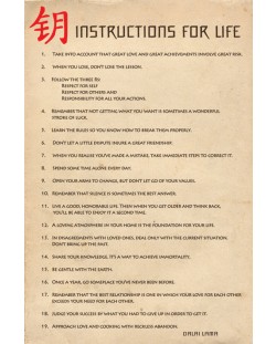 Макси плакат Pyramid - Instructions for lIfe (Dalai Lama)