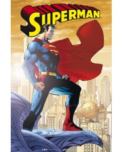Макси плакат ABYstyle DC Comics: Superman - Superman