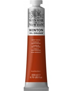 Маслена боя Winsor & Newton Winton - Сиена печена, 200 ml