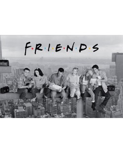 Макси плакат ABYstyle Television: Friends - Friends