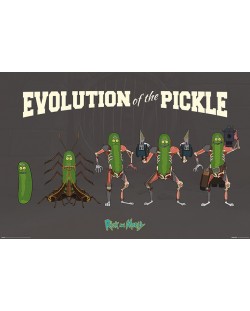 Макси плакат Pyramid - Rick and Morty (Evolution Of The Pickle)