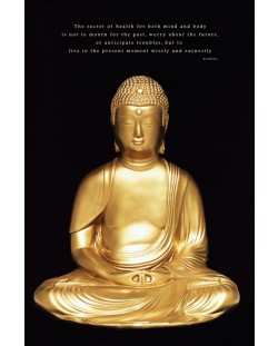 Макси плакат Pyramid - Buddha