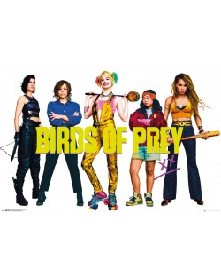 Макси плакат GB eye DC Comics: Birds of Prey - All Birds