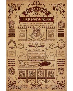 Макси плакат Pyramid - Harry Potter (Quidditch At Hogwarts)