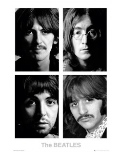 Макси плакат GB eye Music: The Beatles - White Album