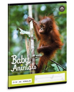 Ученическа тетрадка Ars Una - Animals Orangutan, A5, с 2 полета, 32 листа