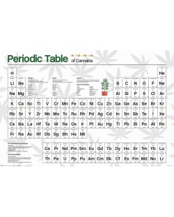Макси плакат Pyramid Educational: Chemistry - Table of Cannabis