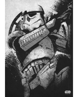 Метален постер Displate Movies: Star Wars - Stormtrooper (Rogue One)