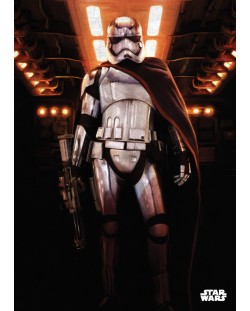 Метален постер Displate - Star Wars: Captain Phasma