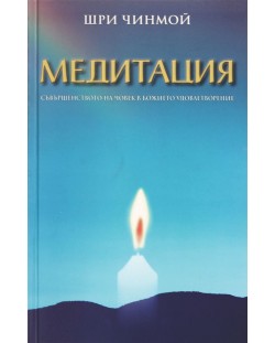 Медитация (Шри Чинмой)