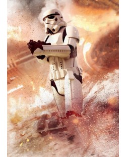 Метален постер Displate Movies: Star Wars - Stormtrooper