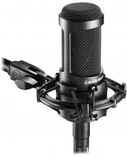 Микрофон Audio-Technica - AT2035, черен
