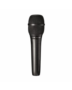 Микрофон Audio-Technica - AT2010, черен