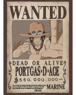 Мини плакат GB eye Animation: One Piece - Ace Wanted Poster