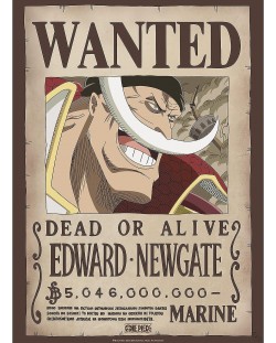 Мини плакат GB eye Animation: One Piece - Whitebeard Wanted Poster