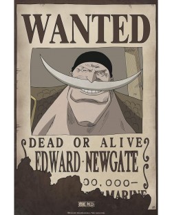 Мини плакат GB eye Animation: One Piece - Wanted Whitebeard