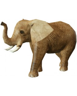 Модел за сглобяване от хартия - Слон, 27 х 42 cm