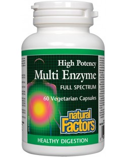 Multi Enzyme Full Spectrum, 450 mg, 60 капсули, Natural Factors