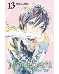 Noragami Stray God, Vol. 13: Playing with Fire