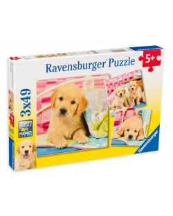 Пъзел Ravensburger от 3 x 49 части - Сладки кученца лабрадори