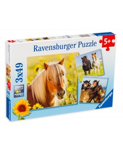 Пъзел Ravensburger от 3 x 49 части - Красиви коне